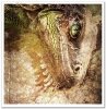Nieodkryty magiczny świat, astrologia, niebo, konstelacje, gwiazdozbiór, mityczne zwierzęta, znaki zodiaku, hipogryf, zamek Drakuli, smok, smoki, skóra smoka, smocza łuska, złoty smok, napisy, litery, runy, alfabet runiczny, wierzenia nordyckie, las, jele